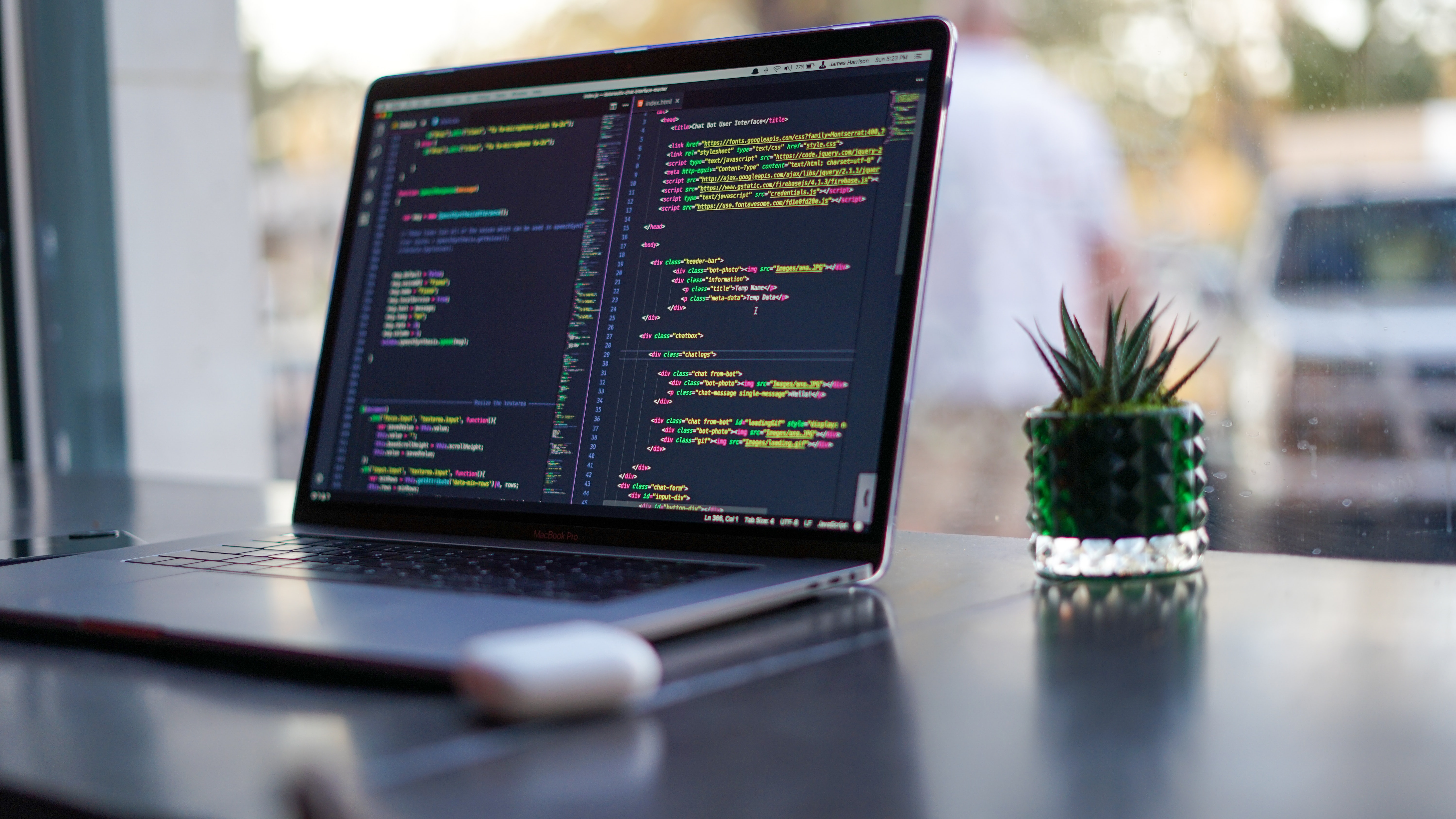 Laptop with code and plant in cafe